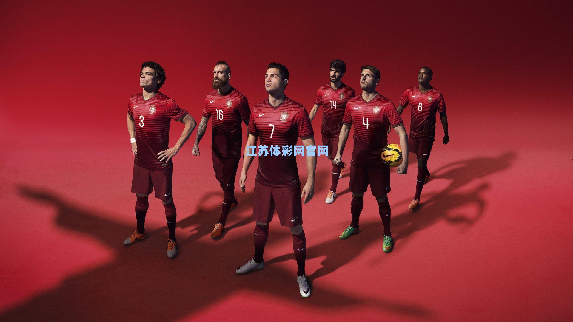 西班牙足坛风波,高等体育理事会审议罢免特瓦斯请求